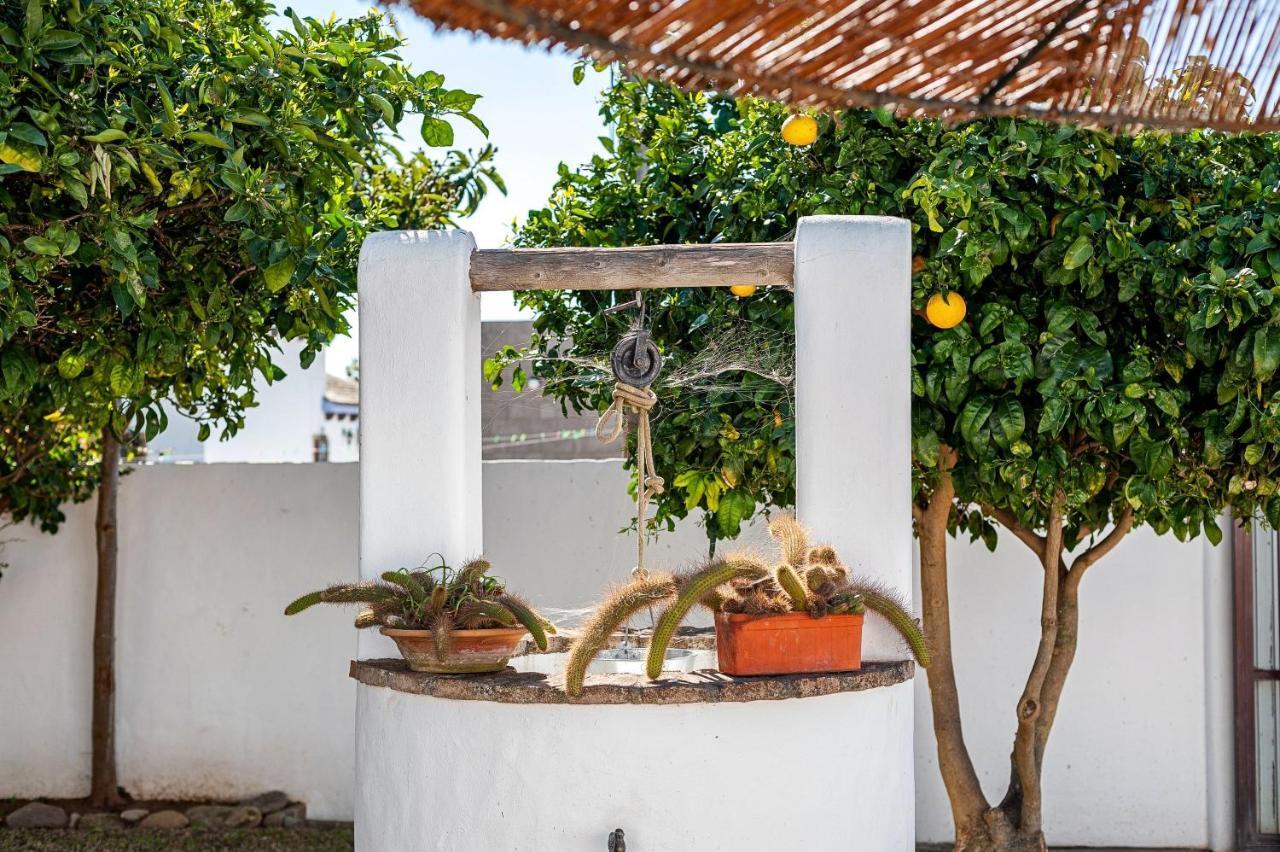 Cortijo Villa La Dehesa Conil de la Frontera Kültér fotó